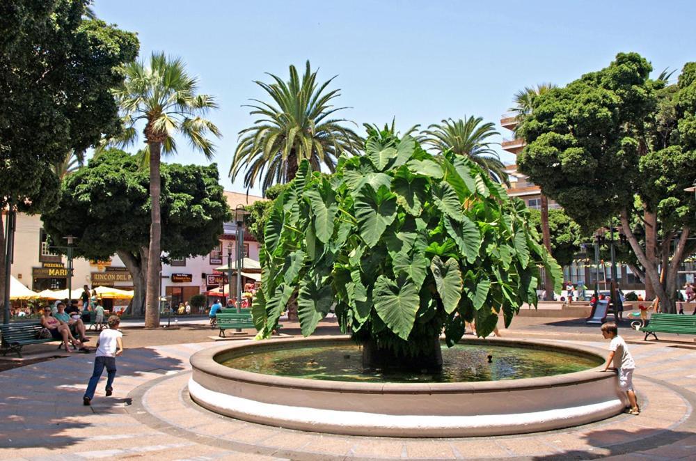 Ferienwohnung Heaven In Canary Islands 88 Puerto de la Cruz  Exterior foto